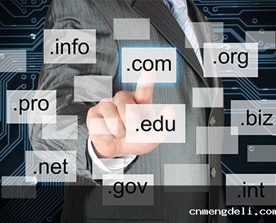 企业级域名解决方案